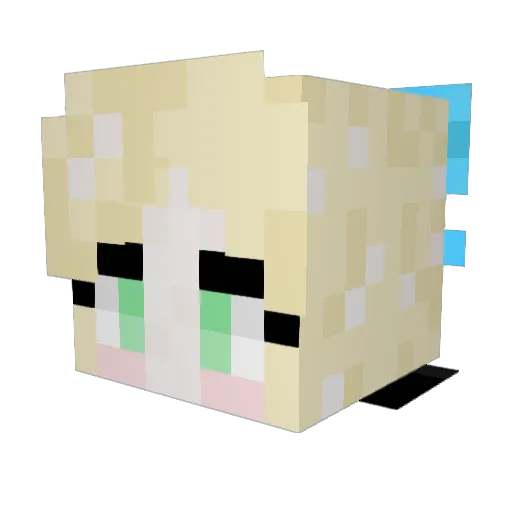 Salt_Fishliedown Minecraft avatar head, 3D render