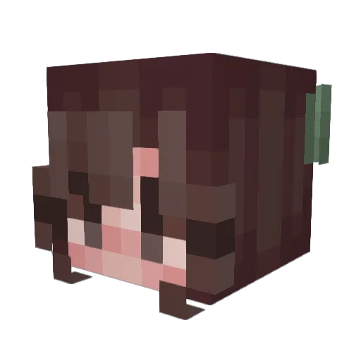 Salt_Inspector Minecraft avatar head, 3D render