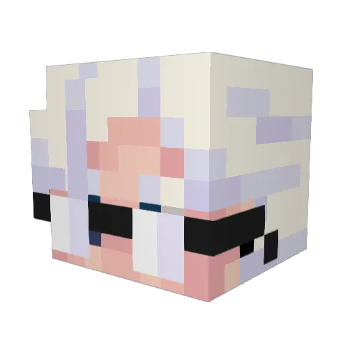Salte0 Minecraft avatar head, 3D render
