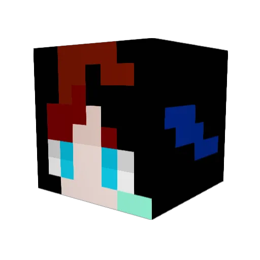 SalteDFish620 Minecraft avatar head, 3D render