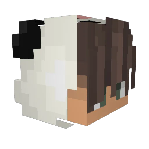 SalteStyle Minecraft avatar head, 3D render