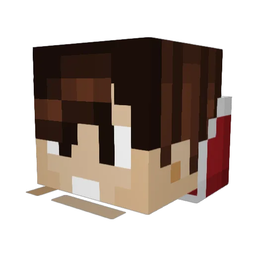 SaltedCheetah Minecraft avatar head, 3D render