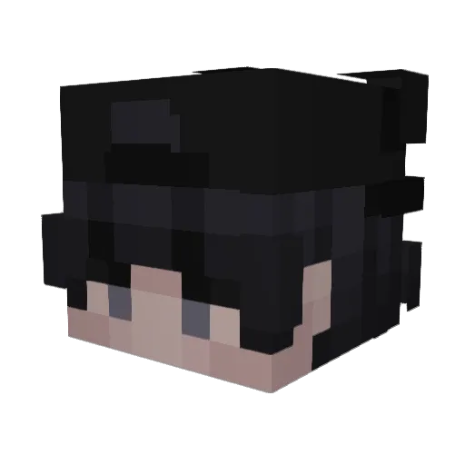 SaltedDonut Minecraft avatar head, 3D render