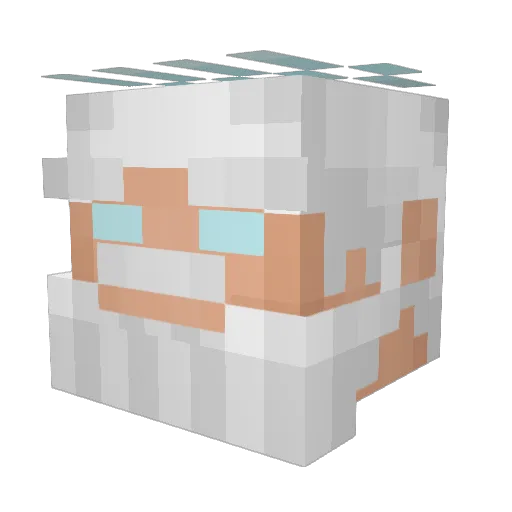 SaltedDoritos Minecraft avatar head, 3D render