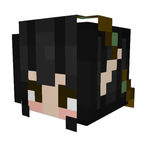 SaltedLlama Minecraft avatar head, 3D render