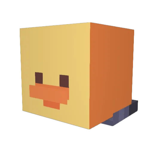 SaltedQuackers Minecraft avatar head, 3D render