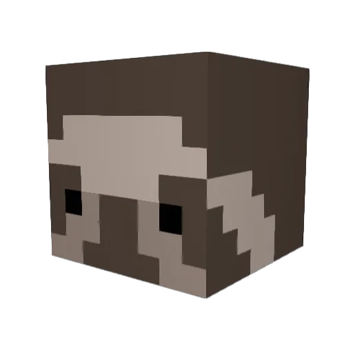 SaltedSloth Minecraft avatar head, 3D render