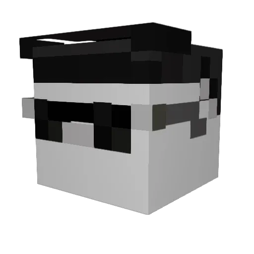 Salted_Josh Minecraft avatar head, 3D render