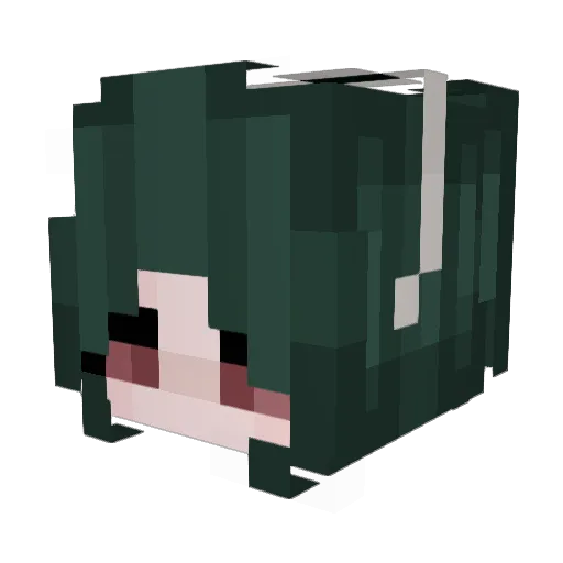 Salted_Turtle Minecraft avatar head, 3D render