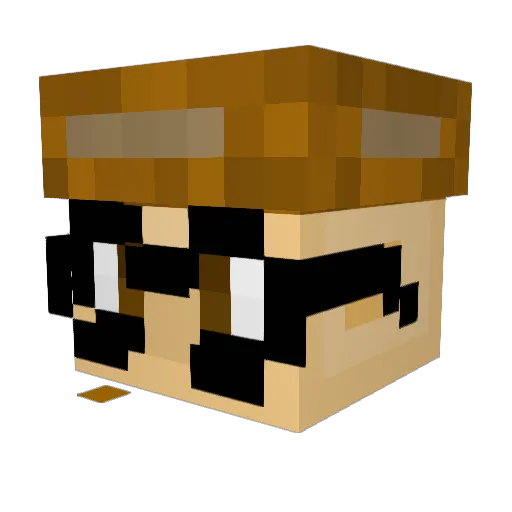 SalteeChicken Minecraft avatar head, 3D render