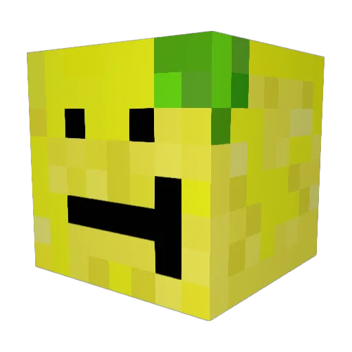 Salteeeens Minecraft avatar head, 3D render