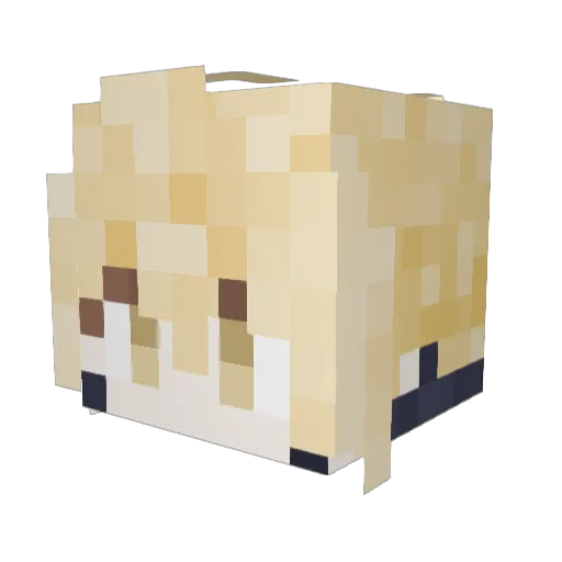 Saltermelon Minecraft avatar head, 3D render
