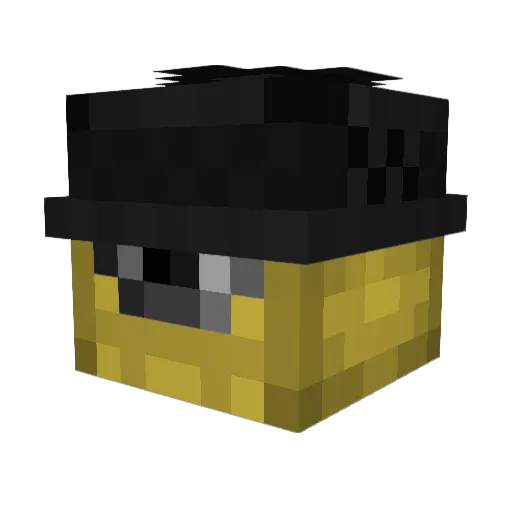 Salterz Minecraft avatar head, 3D render