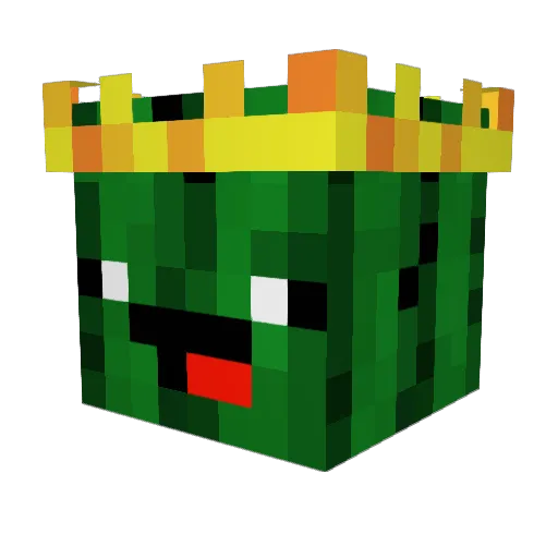 SalteyAllDay365 Minecraft avatar head, 3D render