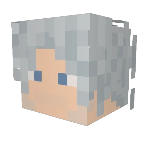 Saltguy Minecraft avatar head, 3D render