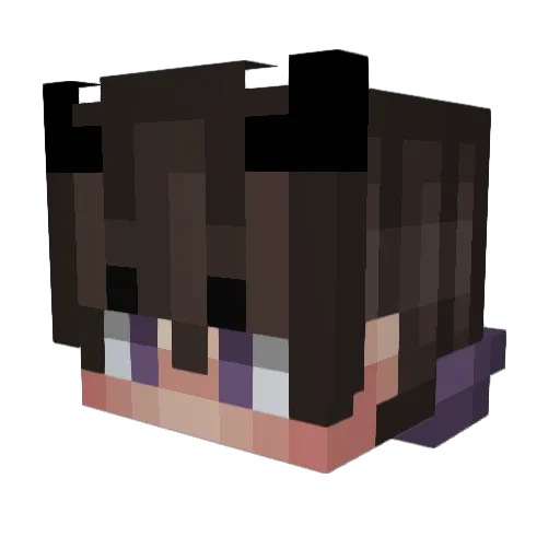Saltie_uwu Minecraft avatar head, 3D render