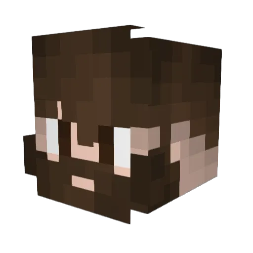 Saltimbanq06 Minecraft avatar head, 3D render