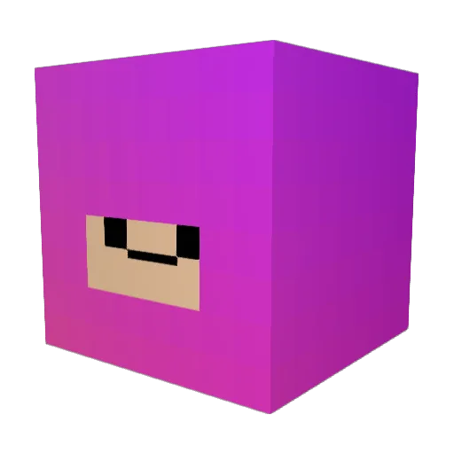 SaltineCashew Minecraft avatar head, 3D render