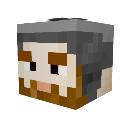 Saltine_Crack Minecraft avatar head, 3D render