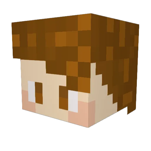 Saltineboi318 Minecraft avatar head, 3D render