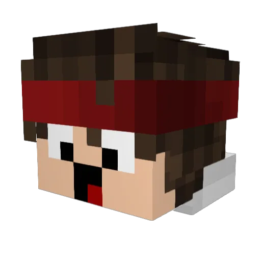 Saltinekracker Minecraft avatar head, 3D render