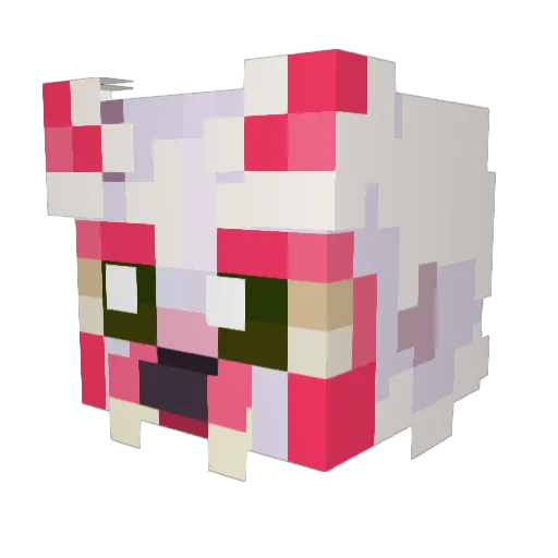 Saltixir Minecraft avatar head, 3D render