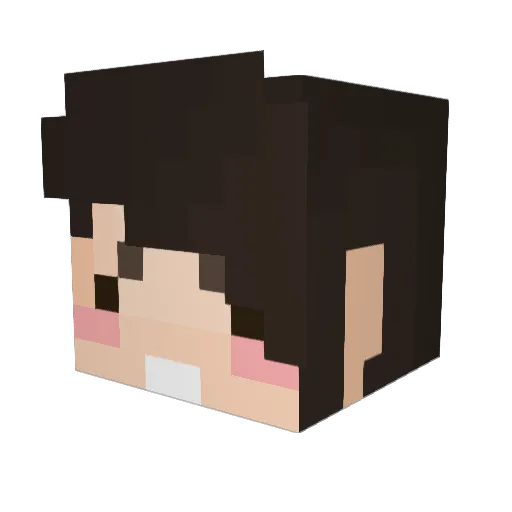 SaltnSugar Minecraft avatar head, 3D render