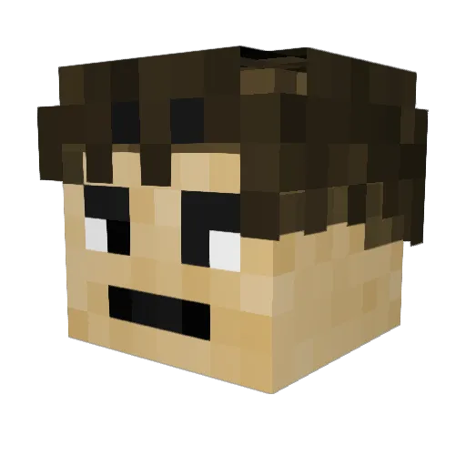 Saltsell Minecraft avatar head, 3D render