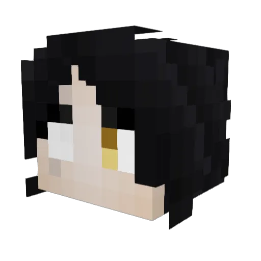 Saltwork Minecraft avatar head, 3D render