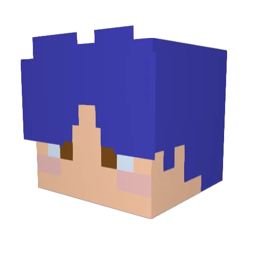 Salty095 Minecraft avatar head, 3D render