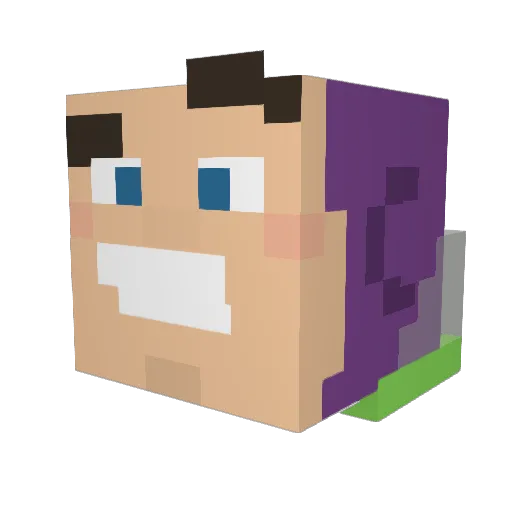 SaltyAndJuicy Minecraft avatar head, 3D render