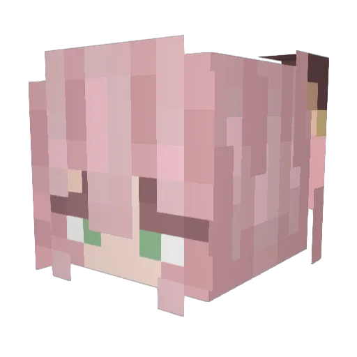 SaltyAsSalt Minecraft avatar head, 3D render
