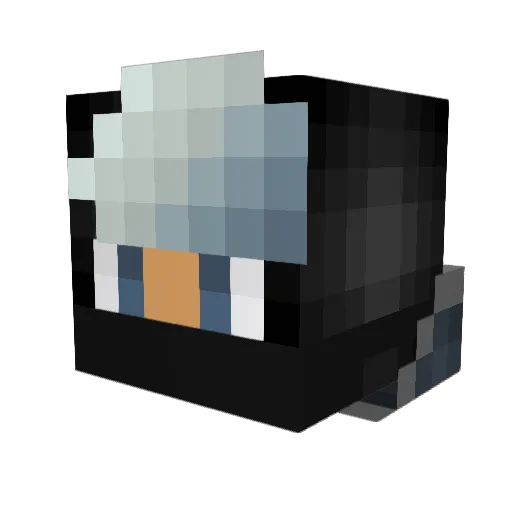 SaltyBeaches Minecraft avatar head, 3D render