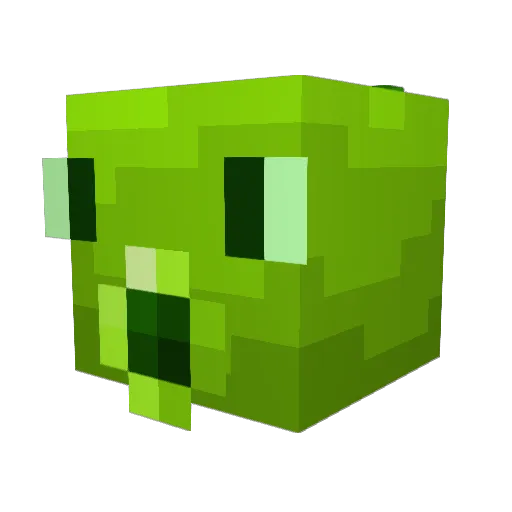 SaltyCabbagepult Minecraft avatar head, 3D render