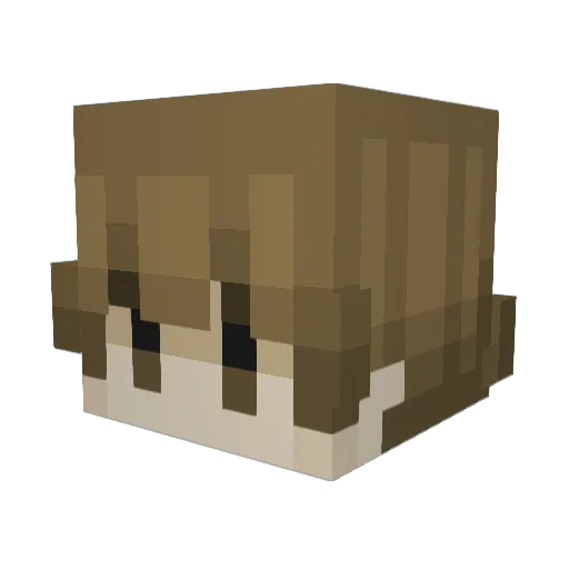 SaltyCactus_ Minecraft avatar head, 3D render