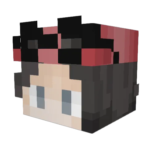 SaltyCheese1337 Minecraft avatar head, 3D render