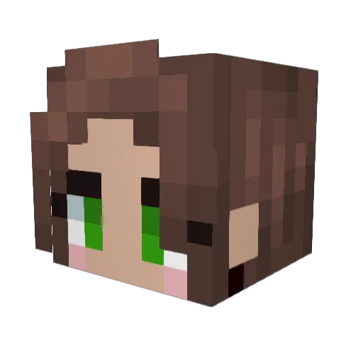 SaltyCrafter Minecraft avatar head, 3D render