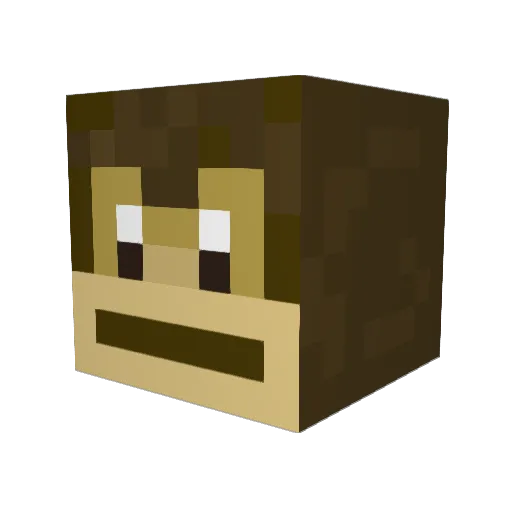 SaltyCube51 Minecraft avatar head, 3D render