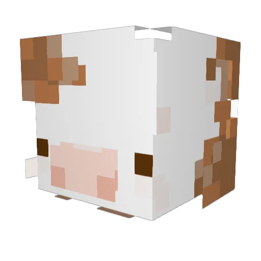 SaltyElla Minecraft avatar head, 3D render