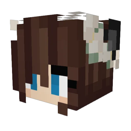 SaltyExo Minecraft avatar head, 3D render