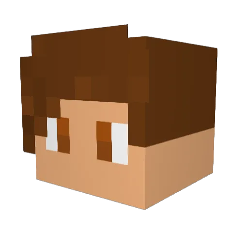 SaltyJoe Minecraft avatar head, 3D render
