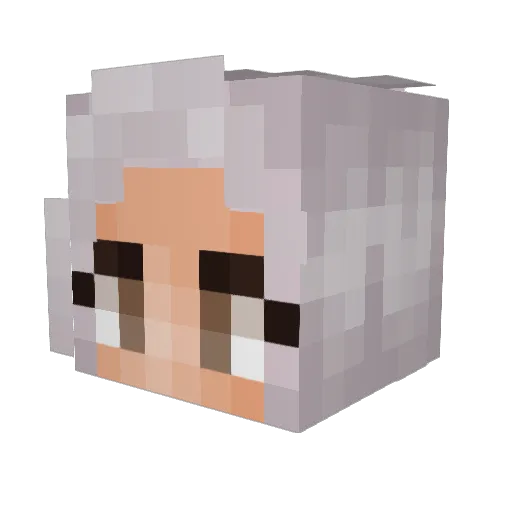 SaltyKitten Minecraft avatar head, 3D render