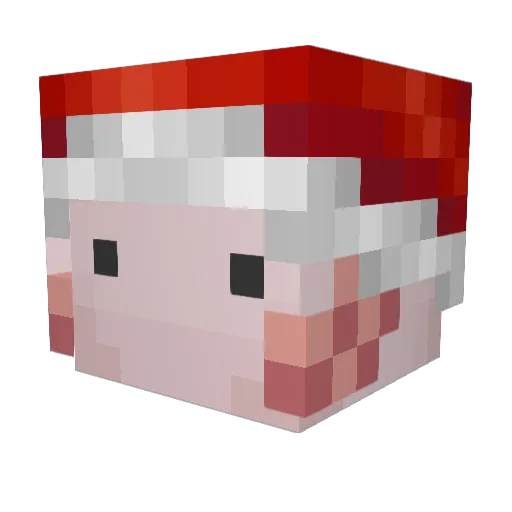 SaltyMayo Minecraft avatar head, 3D render