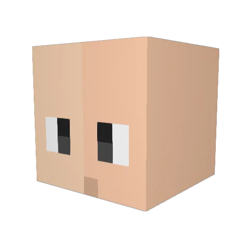 SaltyNB Minecraft avatar head, 3D render