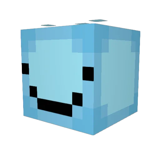 SaltyPacif Minecraft avatar head, 3D render