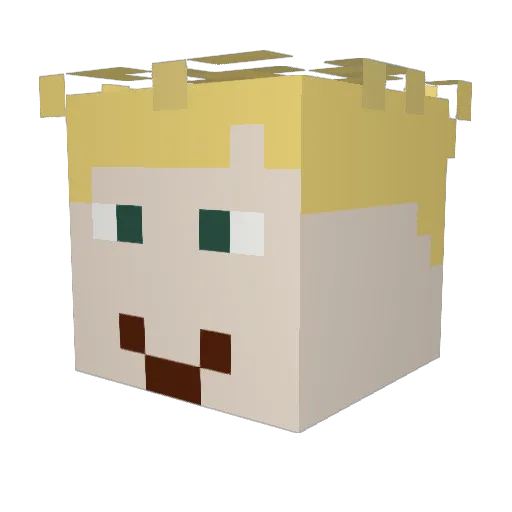 SaltyPants4 Minecraft avatar head, 3D render