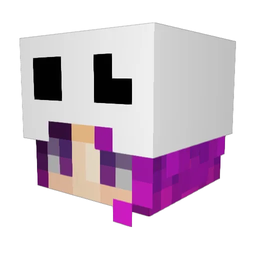 SaltyPotatoStick Minecraft avatar head, 3D render