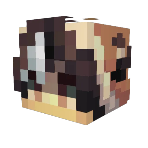 SaltyRadium Minecraft avatar head, 3D render