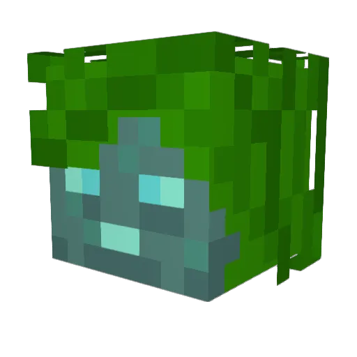 SaltyRocks Minecraft avatar head, 3D render