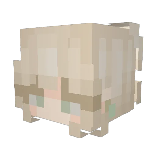 SaltySelena Minecraft avatar head, 3D render